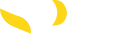 Logo pros footer
